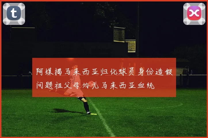 阿媒揭马来西亚归化球员身份造假问题祖父母均无马来西亚血统