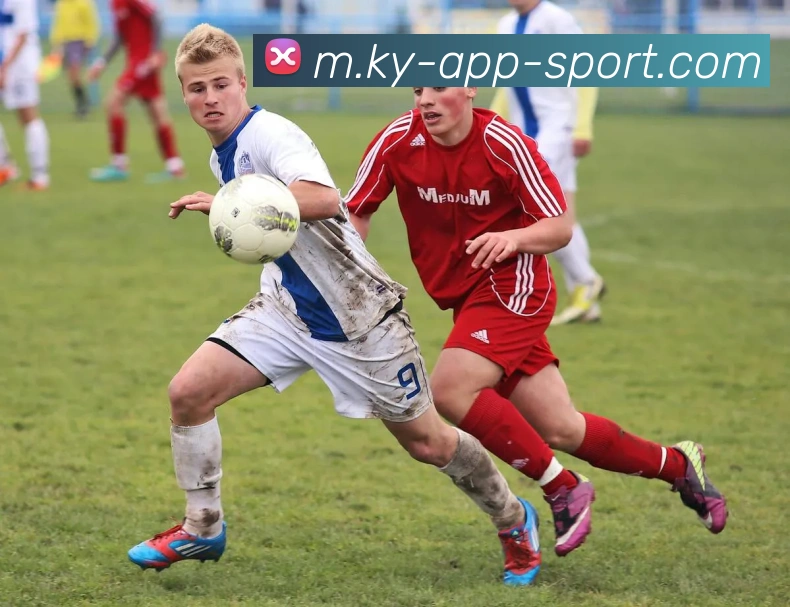 开云体育服务体系